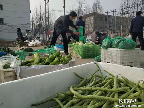 河北内丘 微信群里搭平台，农超对接保供销