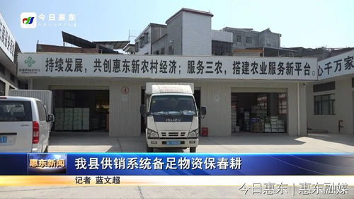 惠东供销系统备足物资保春耕 全力护航农业生产